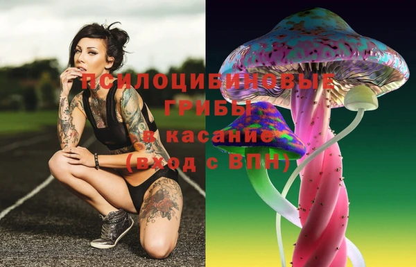 спайс Алексин