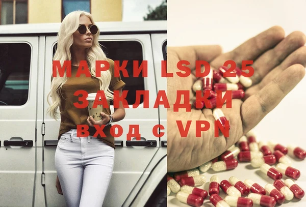 ПСИЛОЦИБИНОВЫЕ ГРИБЫ Алзамай