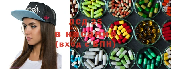 ПСИЛОЦИБИНОВЫЕ ГРИБЫ Алзамай
