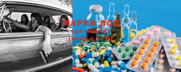 ПСИЛОЦИБИНОВЫЕ ГРИБЫ Алзамай