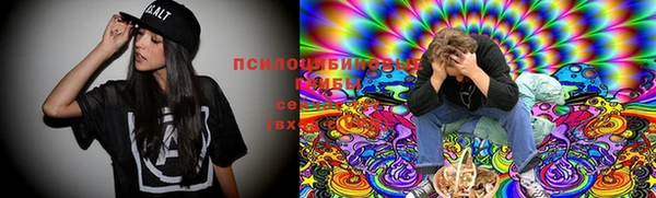 ПСИЛОЦИБИНОВЫЕ ГРИБЫ Алзамай