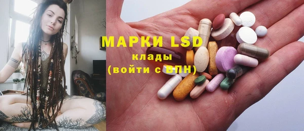 ПСИЛОЦИБИНОВЫЕ ГРИБЫ Алзамай