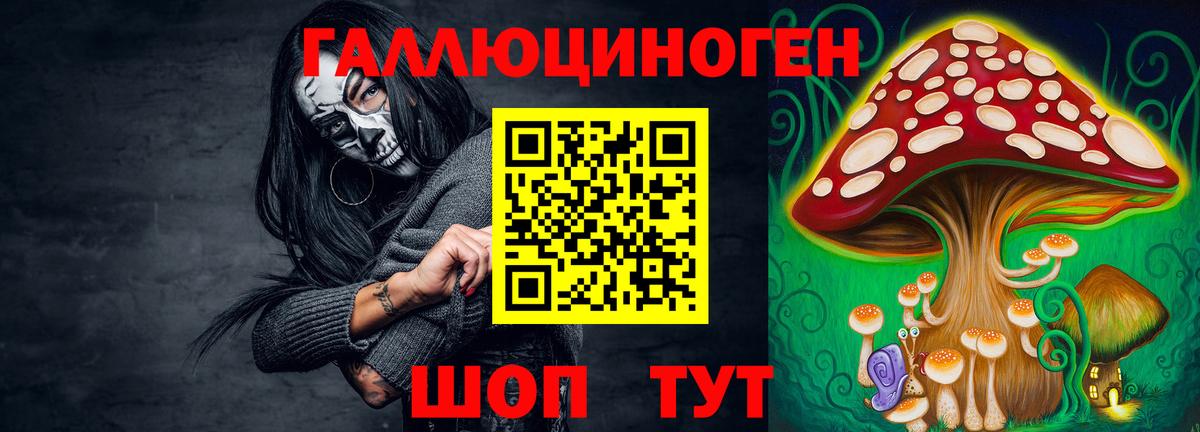 Псилоцибиновые грибы ЛСД  Вход с VPN  купить  цена  Ставрополь  Псилоцибиновые грибы MAGIC MUSHROOMS 